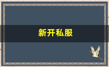 新开私服(sf999传奇新服网)
