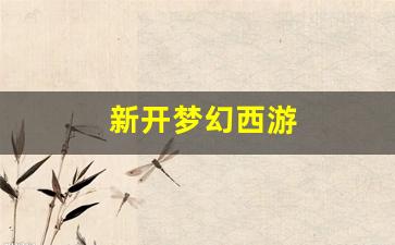 新开梦幻西游 (16)