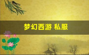 梦幻西游 私服(梦幻西游sf发布网) (