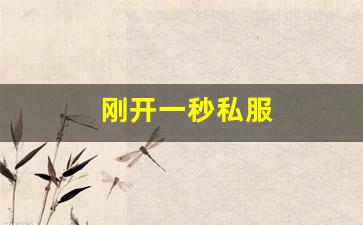 刚开一秒私服(最新开的新开一秒传奇)