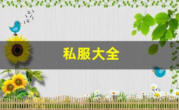 <strong>私服大全 (17)</strong>