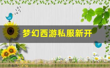 梦幻西游私服新开(梦幻西游手游吧) (1
