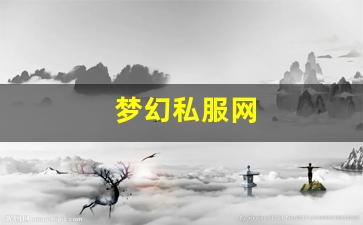 梦幻西游手游sf：梦幻私服网 (6)