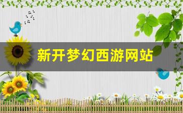 新开梦幻西游网站(梦幻西游网站是多少) 
