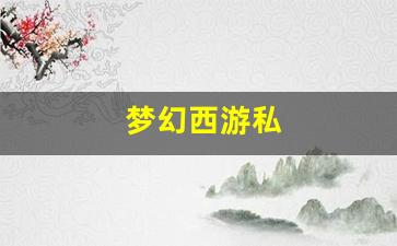 梦幻西游私(梦幻西游手游版本) (2)
